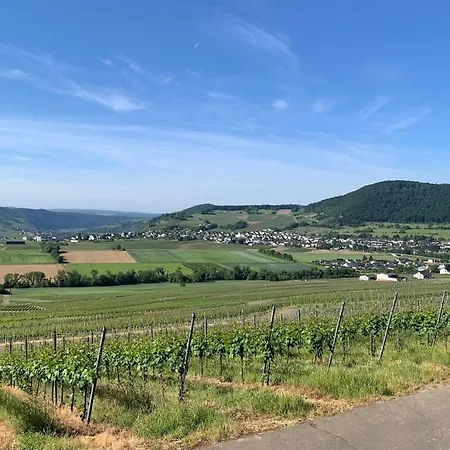 Accommodatie bij particulieren Hanne's Gaestestudio *