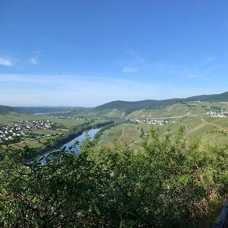 Hanne's Gaestestudio Accommodatie bij particulieren *