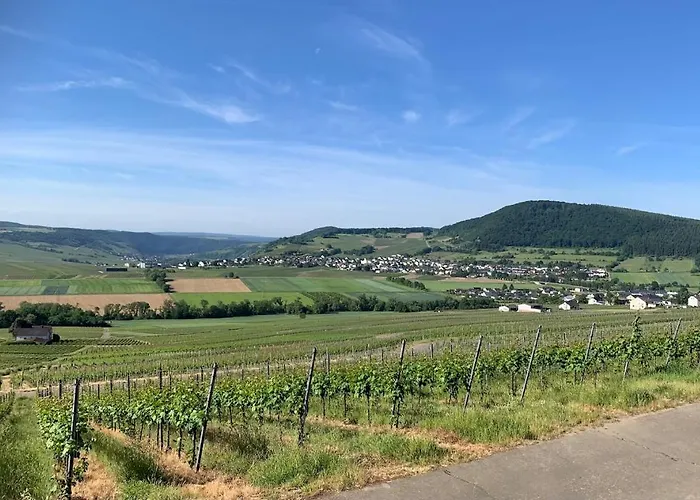 ホームステイ Hanne's Gaestestudio *