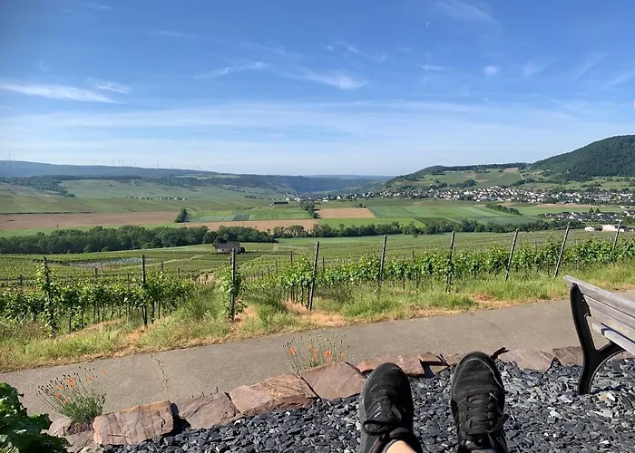 Hanne's Gaestestudio 홈스테이 *